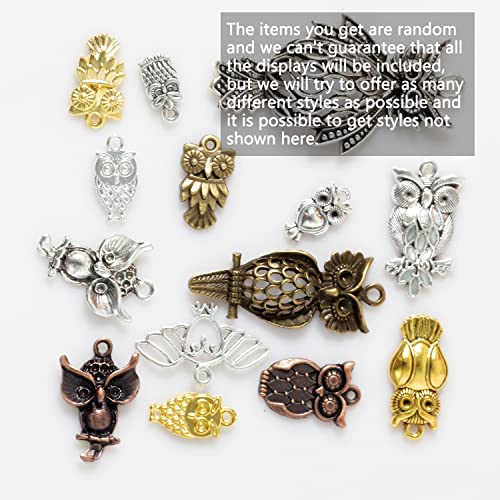 stino 100g Metal Pendant Charms for Jewelry Making, Bulk Silver & Gold Plated Charms for Braclet Necklace Crafts, Animal Plant Flower Pet and so on - color: Owl Silver & Bronze