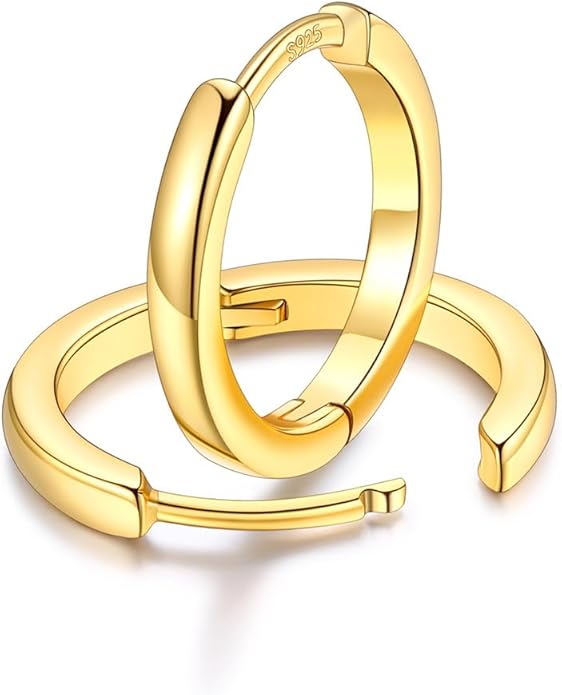 FaithHeart Sterling Silver Hoop Earrings for Women, Hypoallergenic Huggie Hoop Earrings Lightweight Small Cartilage Earrings Hoop Earring Dainty Everyday Earrings 6/8/10/12/14/15/16/18/20mm