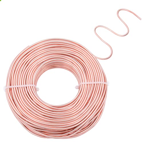 Champagne Aluminum Craft Wire 3mm×100FT Bendable Metal Wire 9 Gauge for Jewelry Making DIY Art Projects Floral Fishing Reusable Wires - color: Champagne, size: 9 Gauge(3mm)