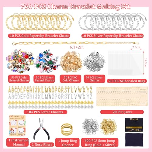 Wurosi 769 Pieces Paperclip Charm Bracelet Kit, Including Paperclip Chain Bracelets, Charms, Jump Rings, Gift Bags, Pliers for DIY Bracelet Making Gift Christmas - color: 769 Pcs Gold & Silver Bracelet