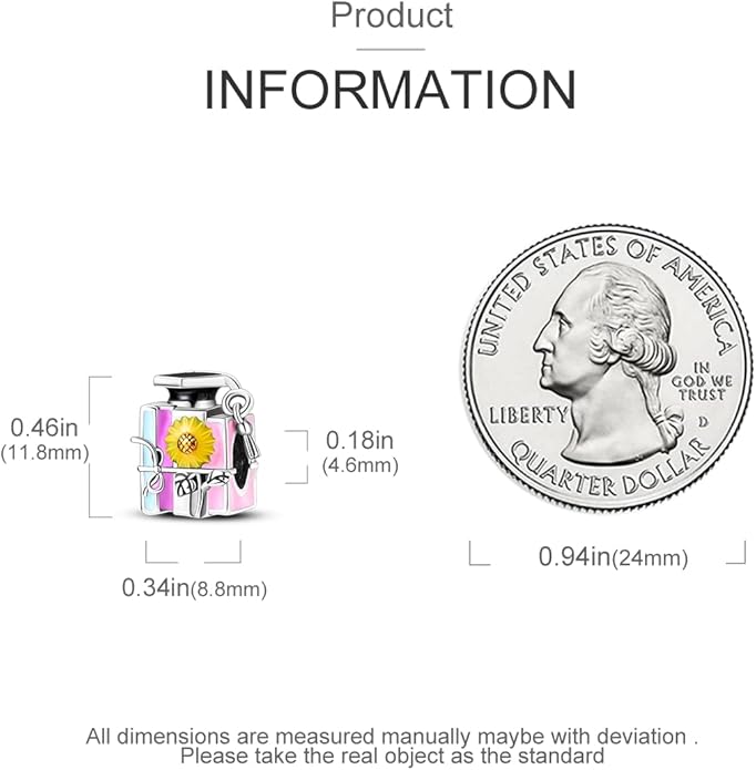 MULA 925 Sterling Silver Charms for Bracelets and Necklaces Airplane Passport Dangle Pendants Beads Butterfly Dragonfly Charms Jewelry Charm for Women