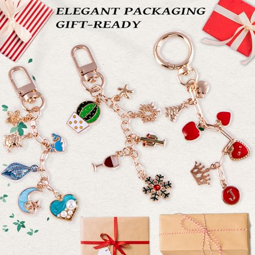 Wurosi 325Pcs Charms Lip Gloss Keychain Making Kit, Including 20 Keychain Clips 25 Extender Chain 118 Charms Jewelry Plier, Bag Charm Kit, Keychains Making Supplies for Jewelry Making,Christmas Gifts - color: 325 pcs kits