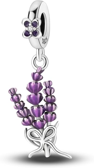 MULA 925 Sterling Silver Charms for Bracelets and Necklaces Airplane Passport Dangle Pendants Beads Butterfly Dragonfly Charms Jewelry Charm for Women