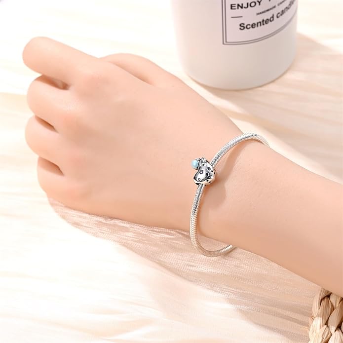 LIGHTDOG 925 Sterling Silver Charm fits Pandora Charm Bracelet Necklaces Pendant Bead Charms Jewelry Gift for Women Family Friends