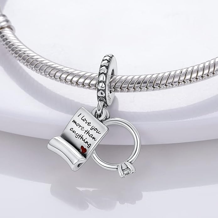 MULA 925 Sterling Silver Charms for Bracelets and Necklaces Airplane Passport Dangle Pendants Beads Butterfly Dragonfly Charms Jewelry Charm for Women