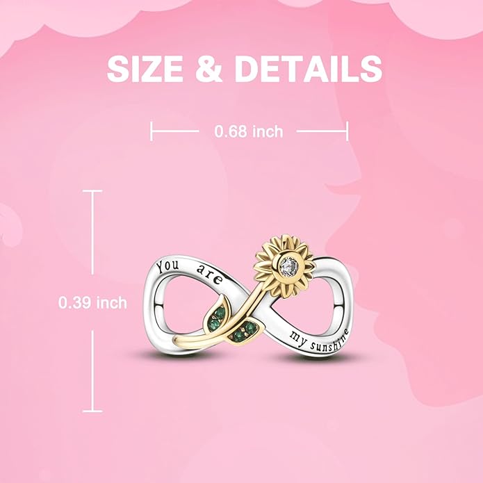 925 Sterling Silver Charms for Bracelets and Necklaces Charms for Women Fashion Jewelry for Women Friend and Mother