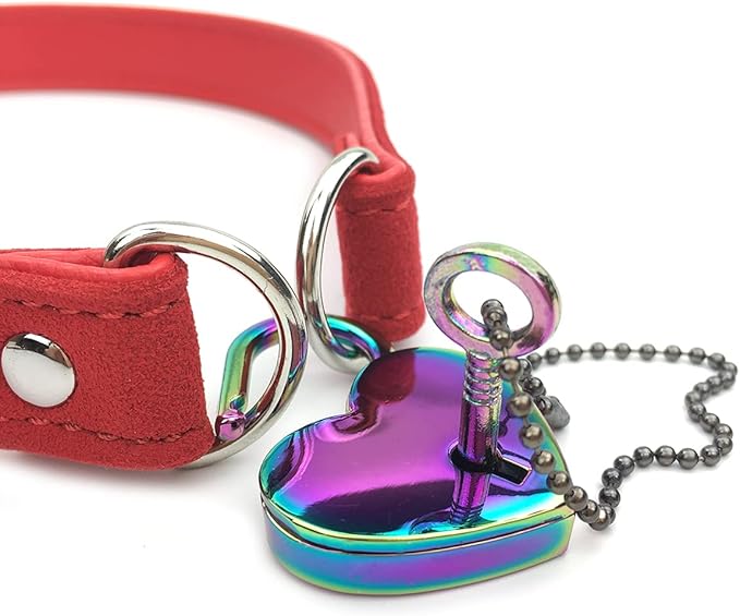 Padlock Choker Collar Necklace with Lock and Key Heart Lock Choker for Women and Men (E, 14)