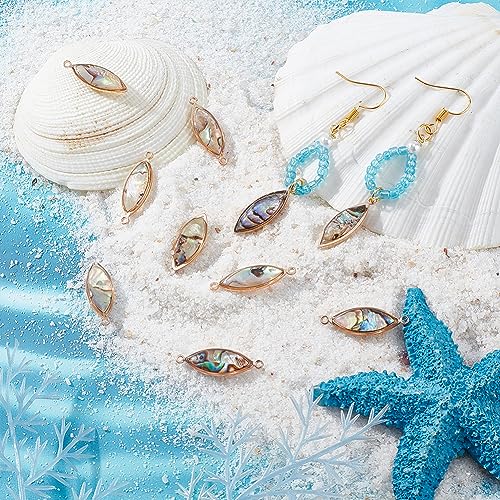 BENECREAT Abalone Shell Charms, Paua Shell Pendant Shell Charms for Jewelry Making - color: Horse Eye