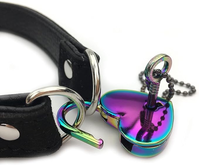 Succuba Padlock Choker Collar Necklace with Lock and Key Heart Lock Choker for Women and Men (B, 14)