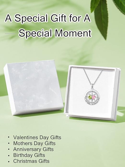 Compass Necklace for Women, Exquisite S925 Valentines Day Anniversary Birthday Gifts for Wife Her Double Birthstone Pendant Jewelry ‘I'd be Lost Without You’