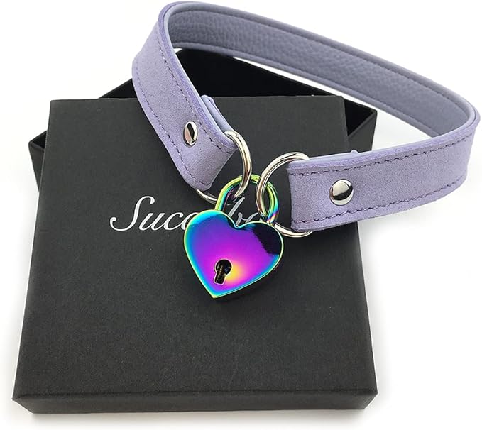 Succuba Padlock Choker Collar Necklace with Lock and Key Heart Lock Choker for Women and Men (C, 14)