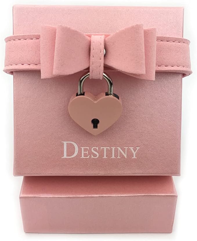 Destiny Love Bell Padlock Choker Collar Necklace Lolita Bow Collar Cat Kitty Velvet Necklace with Heart Lock and Key with Box for Women and Men