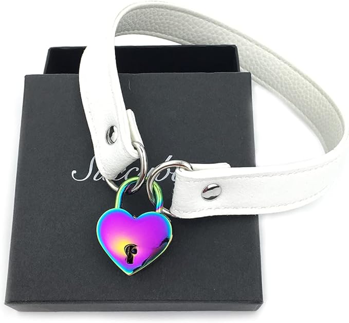Succuba Padlock Choker Collar Necklace with Lock and Key Heart Lock Choker for Women and Men (D, 16)