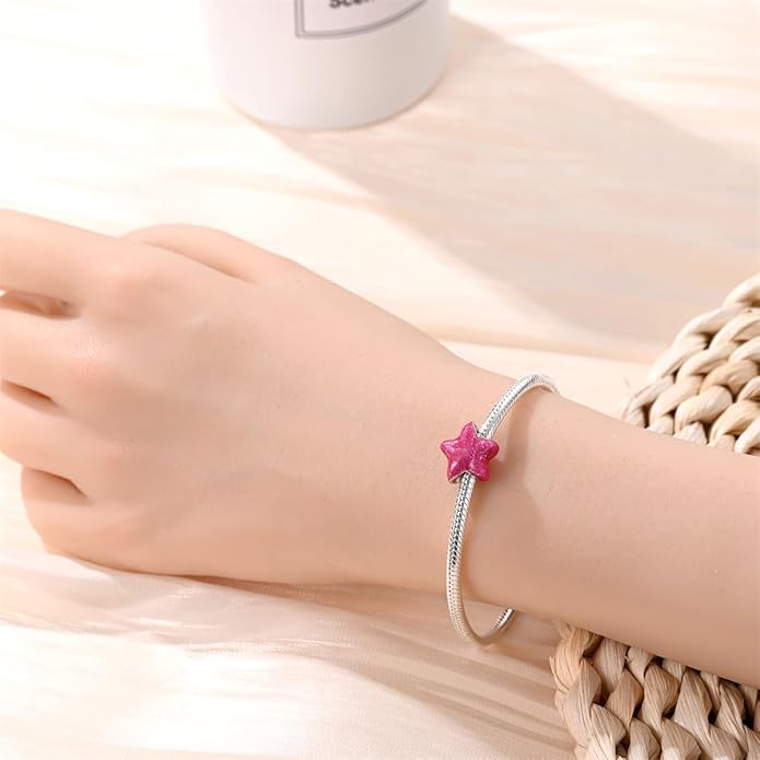 LIGHTDOG 925 Sterling Silver Charm fits Pandora Charm Bracelet Necklaces Pendant Bead Charms Jewelry Gift for Women Family Friends