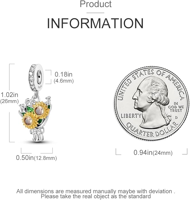 MULA 925 Sterling Silver Charms for Bracelets and Necklaces Airplane Passport Dangle Pendants Beads Butterfly Dragonfly Charms Jewelry Charm for Women
