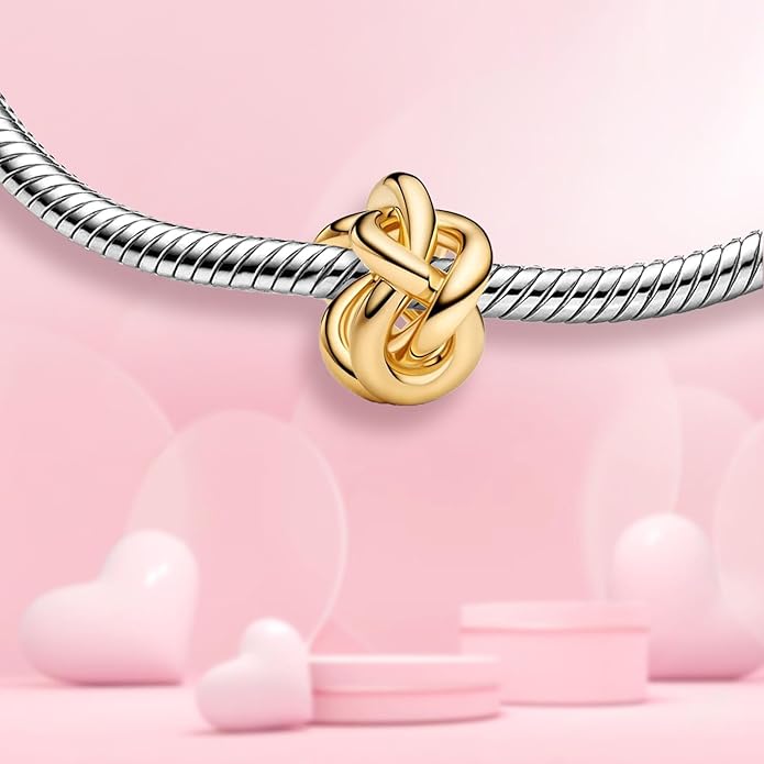 Family Mom Heart Charms 925 Sterling Silver Bead for Bracelets and Necklaces For Women Jewelry Present