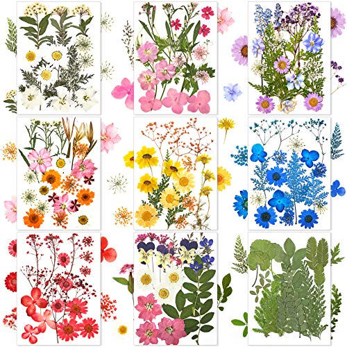 Nuanchu 167 Pcs Real Dried Pressed Flowers Natural Dried Flowers Colorful Daisy Mixed Wildflowers Leave for DIY Candle Resin Nails Jewelry Pendant Crafts Floral Art(Multicolor,Lovely Style) - color: Fresh Color, style: Lovely Style