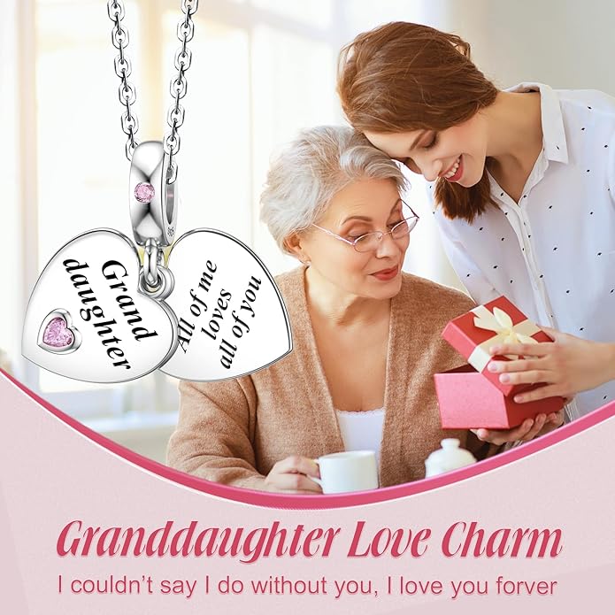 JIAYIQI Mother Sister Daughter Wife Charms Fit Charms Bracelet Necklace with Double Heart Love Charms 925 Sterling Silver Beads for Women Jewelry