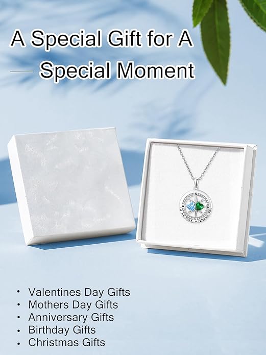 Compass Necklace for Women, Exquisite S925 Valentines Day Anniversary Birthday Gifts for Wife Her Double Birthstone Pendant Jewelry ‘I'd be Lost Without You’