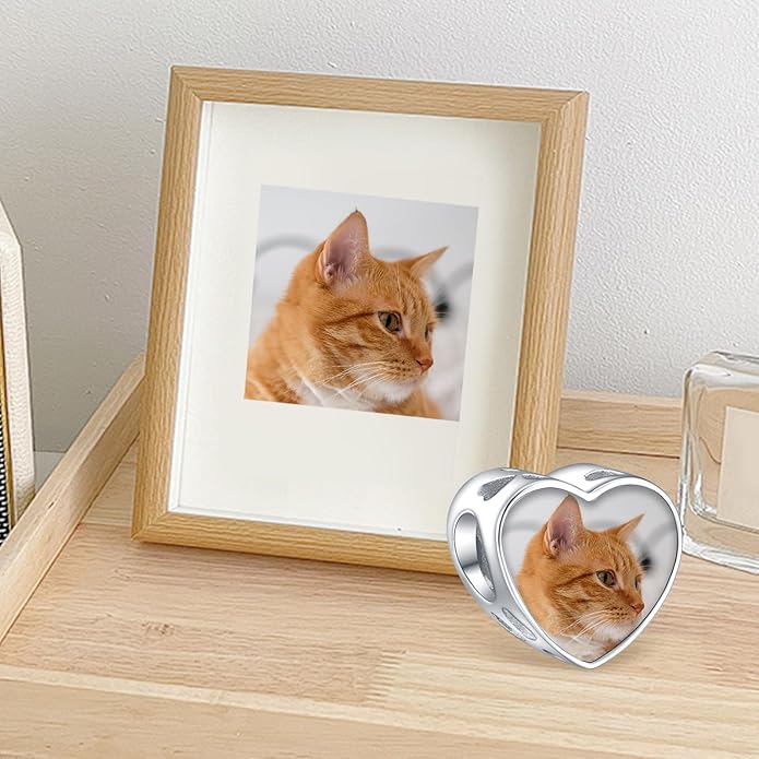 Annmors Personalized Photo Charm for Bracelet Necklaces,925 Sterling Silver Charm Love Heart Shaped Engraved Customize Picture Gift for Birthday Mother's Day Christmas,Bead Charms Jewelry for Women